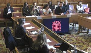 Lords enquiry